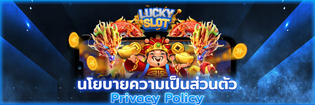 นโยบายความเป็นส่วนตัวของเว็บไซต์ Mechok9